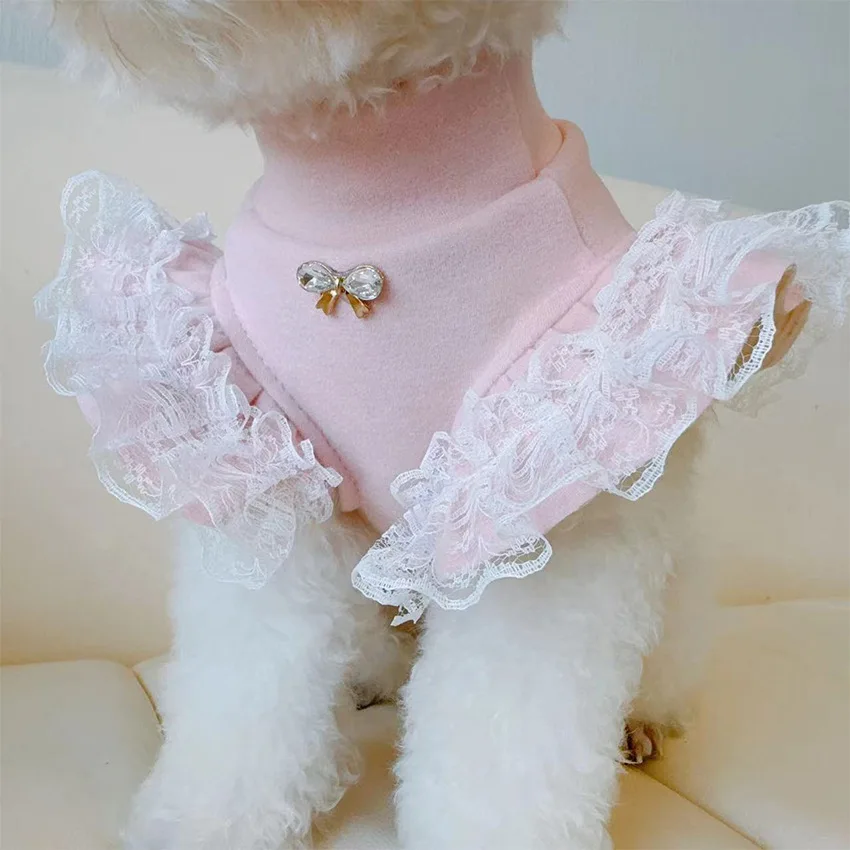 Lace Teddy Lingerie - Ropa para mascotas, camisa Base de