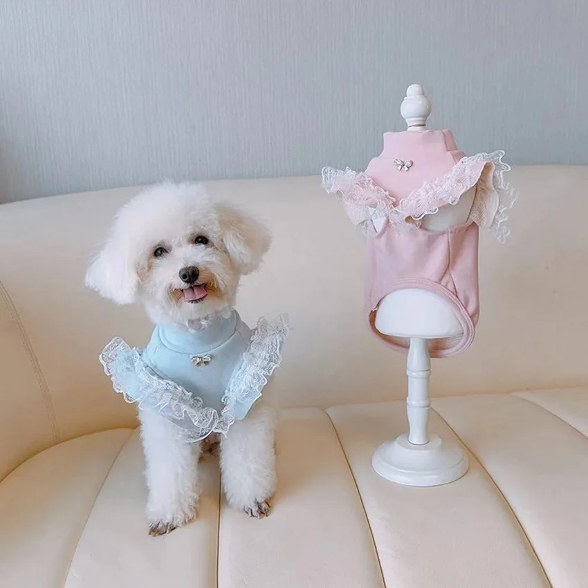 Ropa para mascotas, camisa Bas - Lace Teddy Lingerie reseña y precio