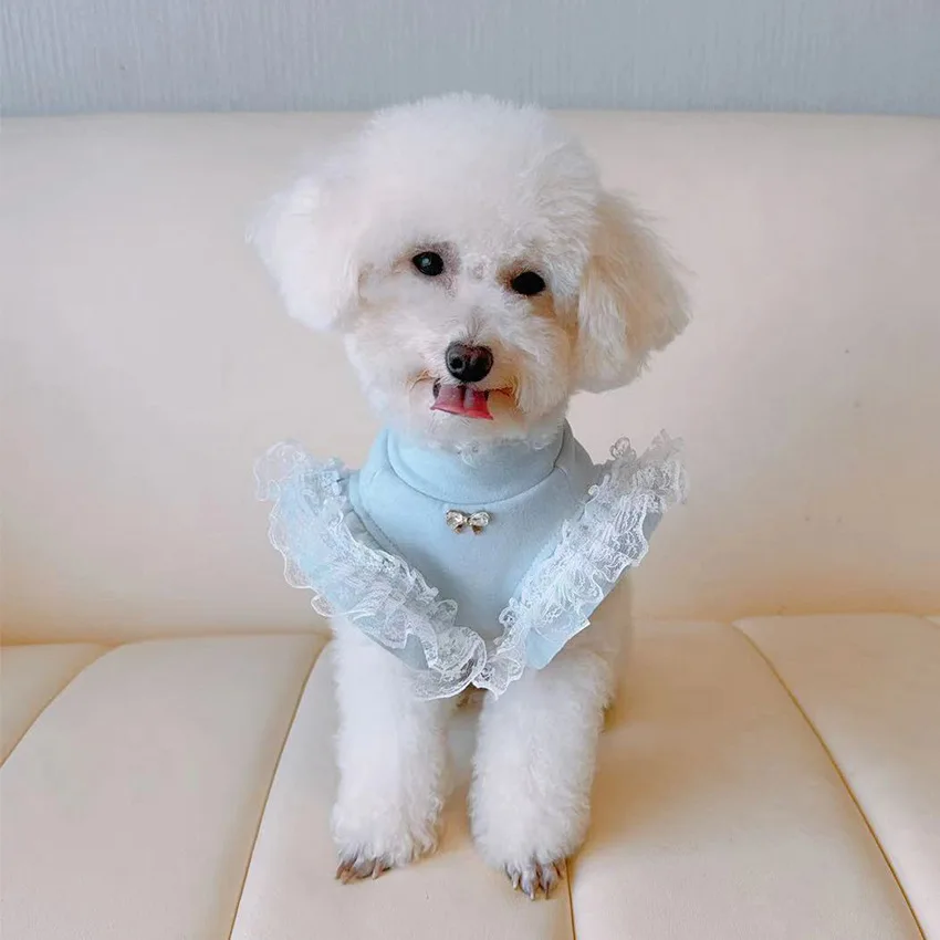 Ropa para mascotas, camisa Bas - Lace Teddy Lingerie reseña y precio