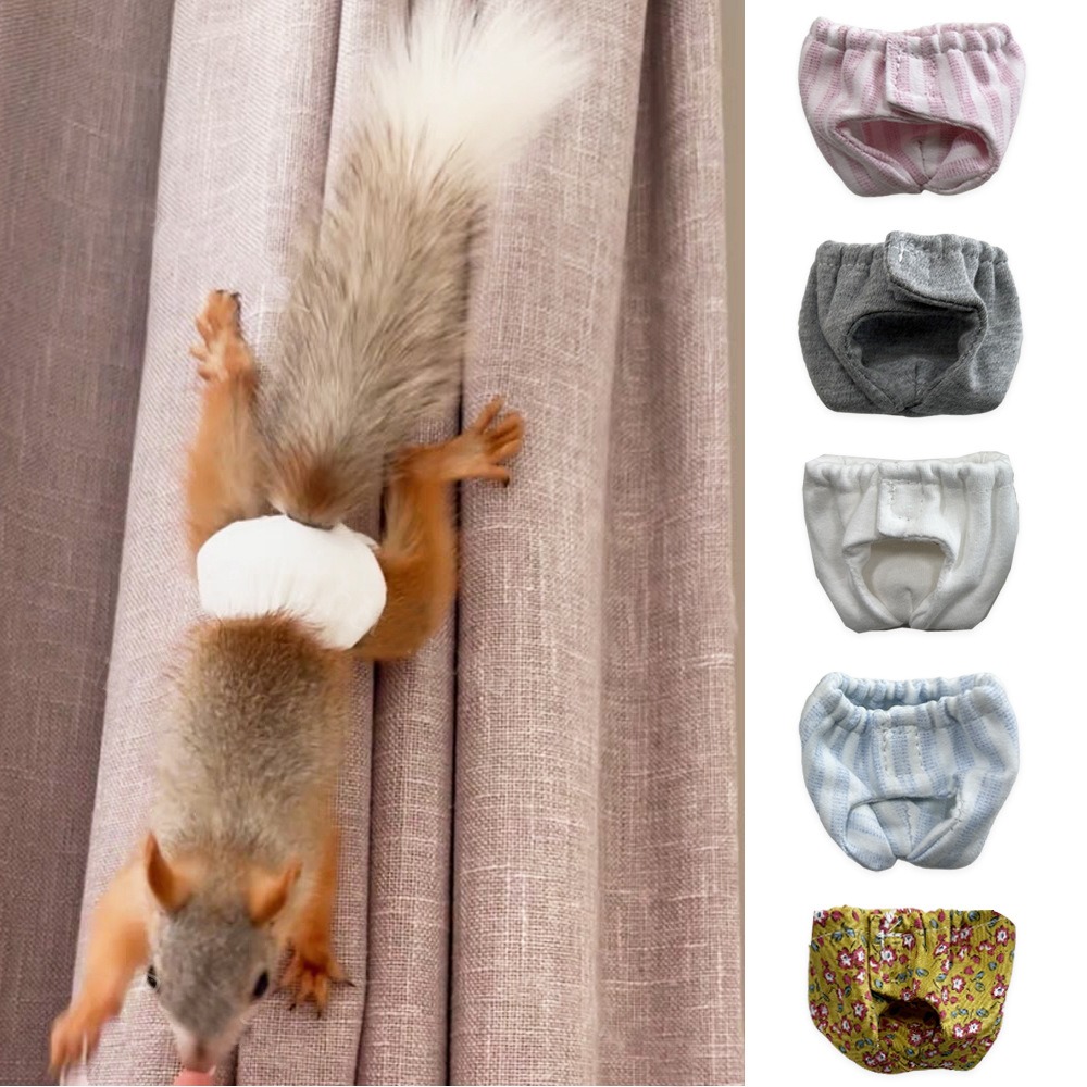 Pañales Absorbentes para Ardil - Period Panty Absorbent reseña y precio